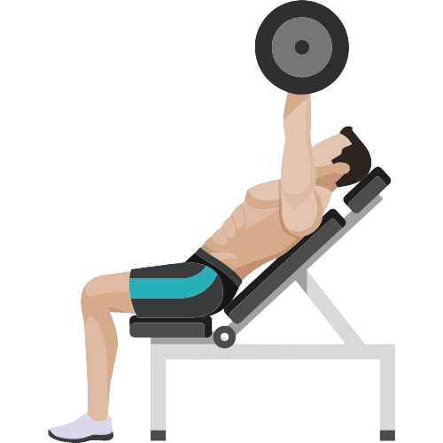 Icona servizio massa muscolare