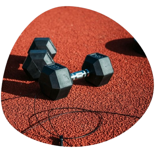 Attrezzatura per allenamento a casa insieme con un personal trainer